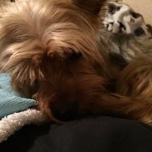 Meet your Posher, Josefa